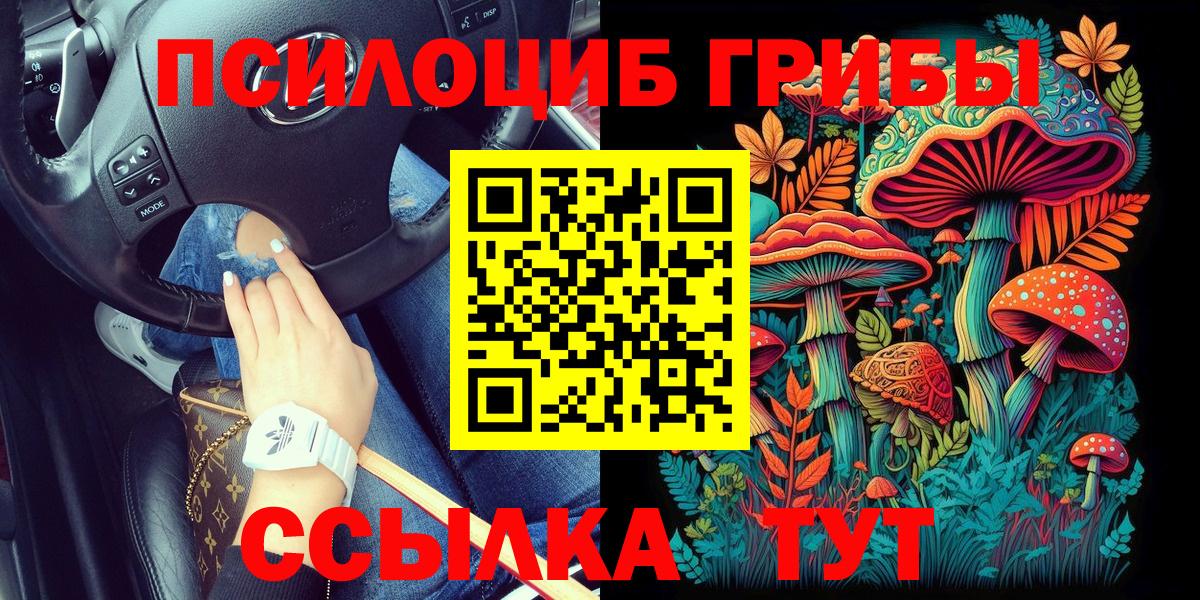 Псилоцибиновые грибы мицелий Всеволожск